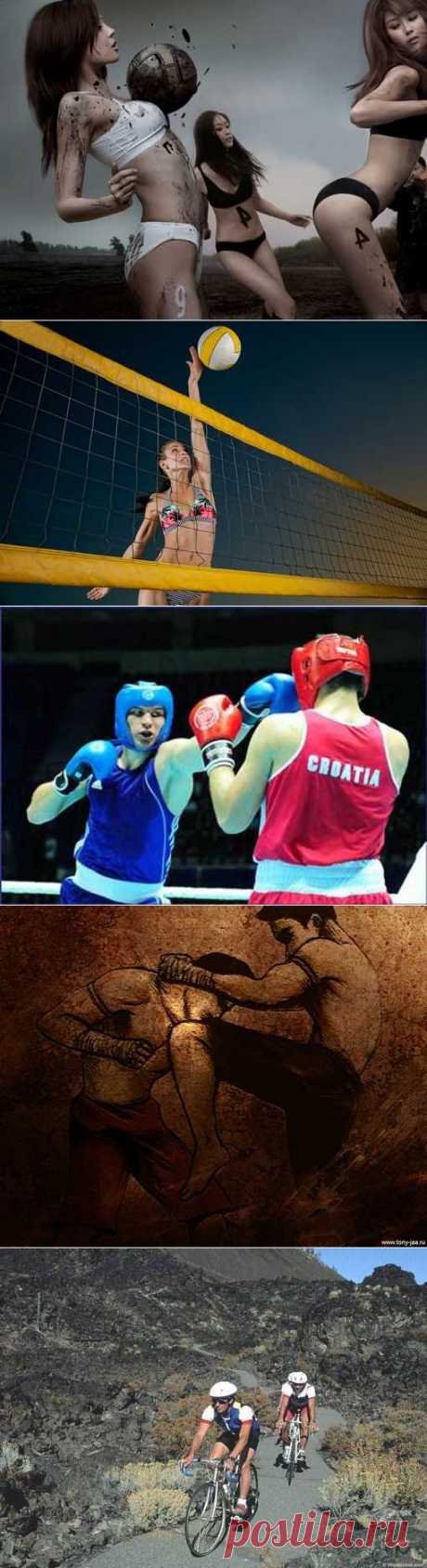 Софтбол, Конькобежный спорт, Картинг, Фитнес. (1/1) - Спортивный форум. - Спортивный сайт