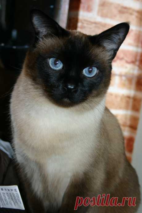 Просто красавчик.