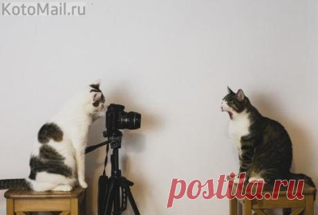 Фотосессия