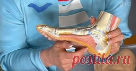 Секрет боли в спине у вас в ногах. 10 упражнений, которые исправят все Несколько простых упражнений, которые будут поддерживать мышцы спины и осанку и облегчат боль в нижней части спины.