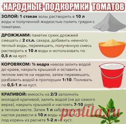 Дорогие мои читатели! Для своих салатов я выращиваю томаты сама и пользуюсь этими подкормками. Очень вкусные помидорки получаются и внушительных размеров. Одного помидора на семейный салат хватает, а когда не пользовалась этими подкормками и трех помидоров не хватало!