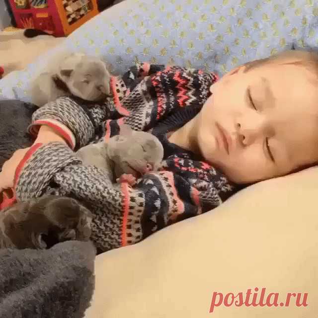 (47) Одноклассники