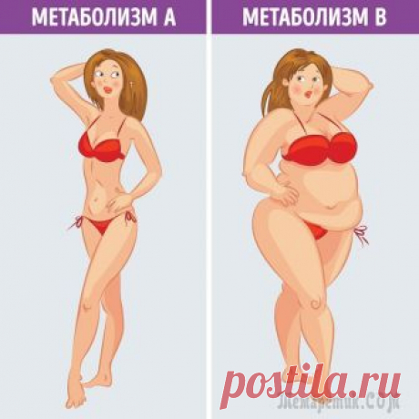 Что такое метаболическая диета и почему она действительно работает В мире существуют сотни диет. Казалось бы, желающие похудеть имеют огромный выбор. Однако далеко не все системы полезны для здоровья и эффективны. Дайан Кресс, дипломированный диетолог из США, разрабо...