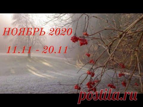 Таро Прогноз на ноябрь 2020  (период 11-20 ноября  2020 года) Астрологический Оракул Симболон
