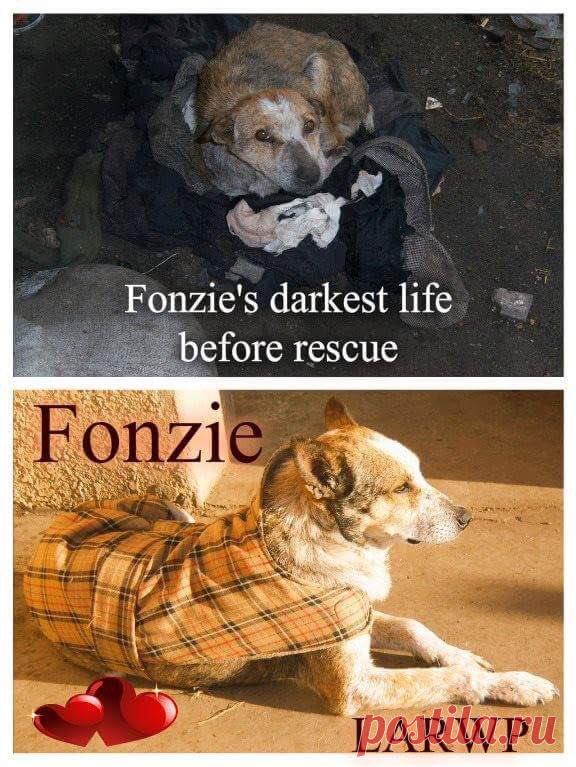 (208) Твиттер