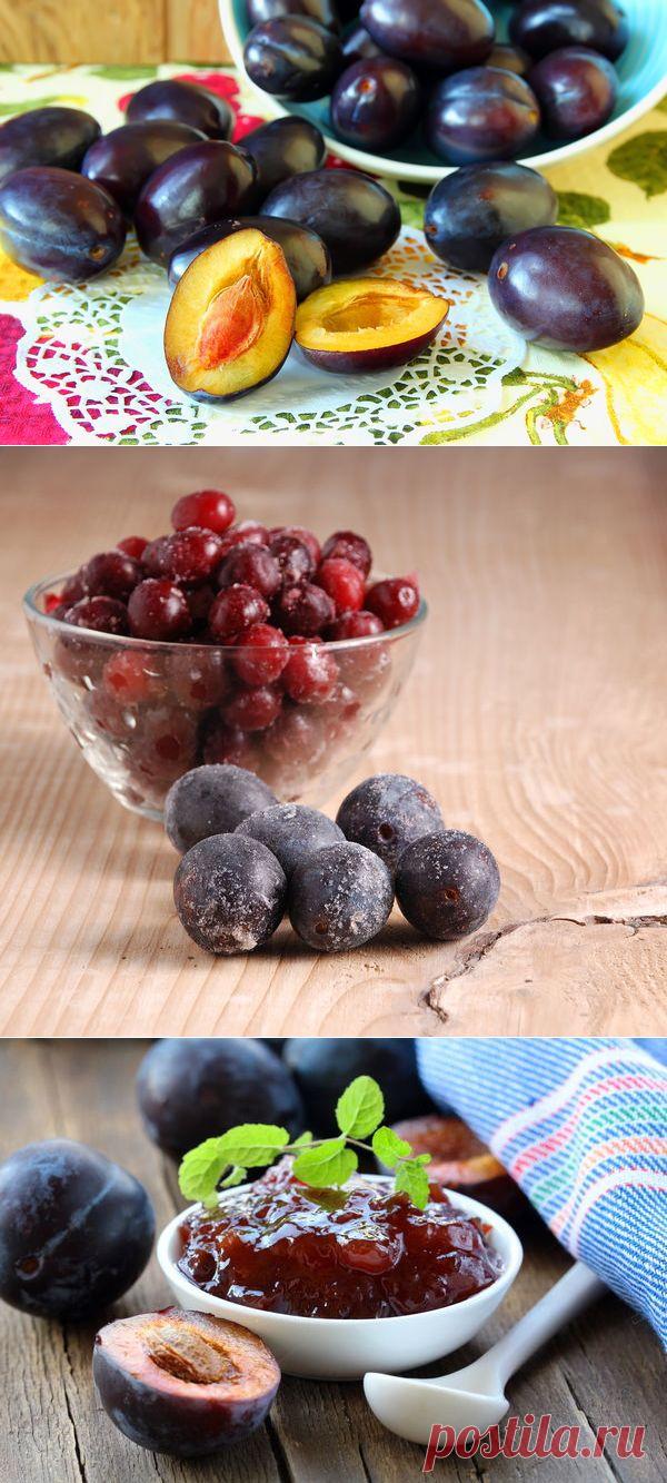 Что сделать из урожая слив: сушим, замораживаем и варим