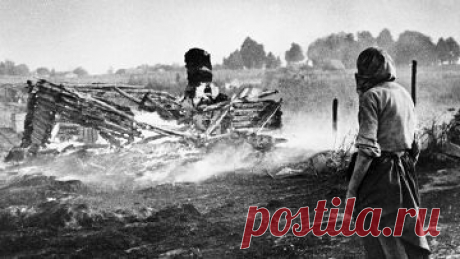 На Восточный фронт не распространялась Женевская конвенция | ИноСМИ - Все, что достойно перевода
