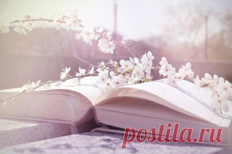 -=Хорошая книга и чашечка кофе=-