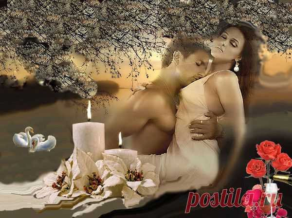 Сонет моей любви
Дневник Елена-надежда