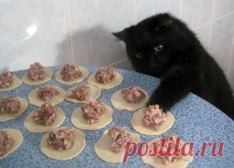 Я только мяско поправить...