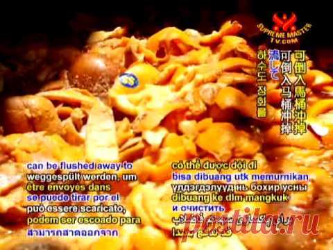 Энзимы для здоровья | Потенциал здоровья школьника