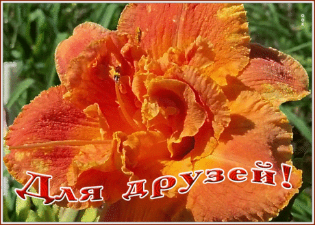 Мерцающая открытка друзьям