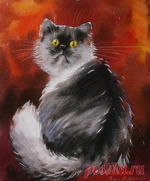 Привет!  Екатерина Рязанова (eryazanova)