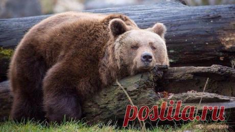 В любых делах при максимуме сложностей, / Сферический бизнес