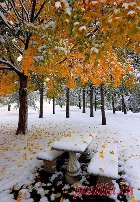 (14) Pinterest