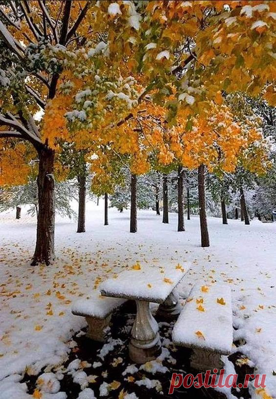 (14) Pinterest