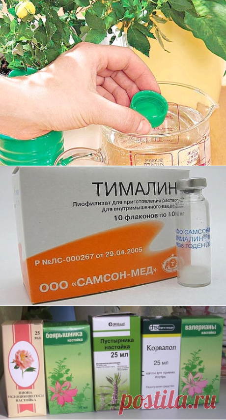 1. «Кажется невероятным: в российских аптеках продаётся очень эффективное и дешёвое средство в борьбе против рака, о котором… мало кто знает...