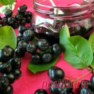 Черноплодная рябина на зиму ‒ лучшие рецепты с подробным описанием