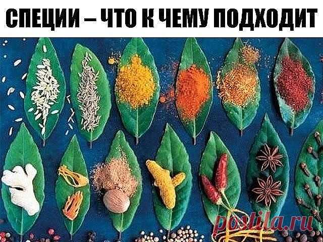 СПЕЦИИ – ЧТО К ЧЕМУ ПОДХОДИТ
ДЛЯ МЯСА: красный, черный, душистый перец или гвоздика, майоран, тимьян, тмин, куркума, лук, орегано.
ДЛЯ ПТИЦЫ: тимьян, майоран, розмарин, шалфей, чабрец, базилик.
ДЛЯ РЫБЫ: лавровый лист, белый перец, имбирь, душистый перец, лук, кориандр, перец чили, горчица, укроп, тимьян.
ДЛЯ ГРИЛЯ: красный перец, душистый перец, кардамон, тимьян, майоран, мускатный орех и мускатный цвет, тмин, имбирь, перец чили.
ДЛЯ ДИЧИ: тимьян, душица обыкновенная, душ...