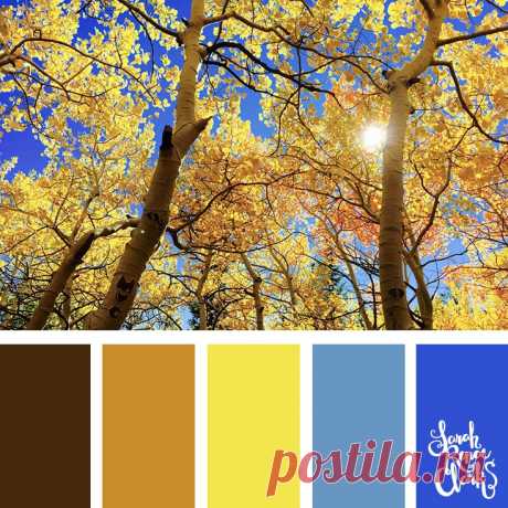 25 Color Palettes Inspired by the Pantone Fall 2017 Color Trends | Inspiring color schemes by Sarah Renae Clark
Осенняя коллекция: вход 1