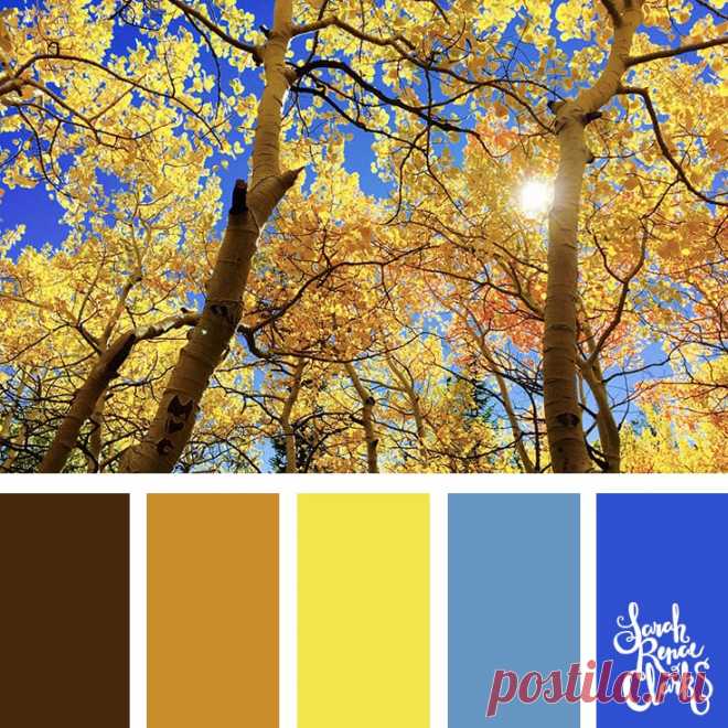25 Color Palettes Inspired by the Pantone Fall 2017 Color Trends | Inspiring color schemes by Sarah Renae Clark
Осенняя коллекция: вход 1