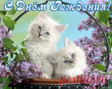 открытка
