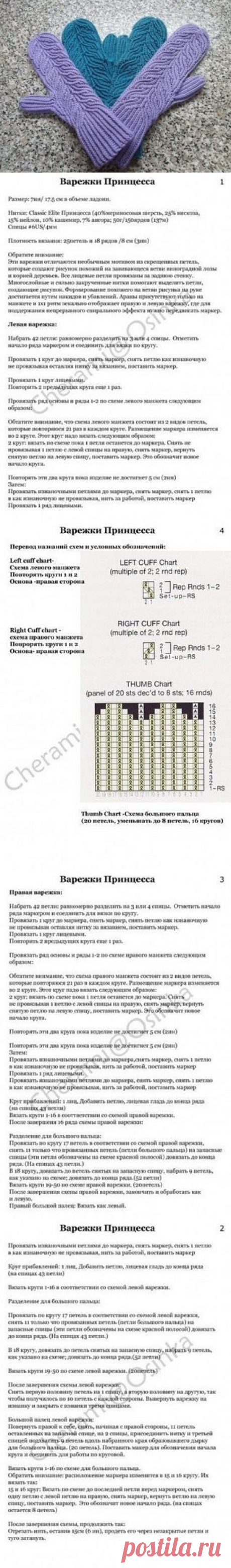 (1) Одноклассники