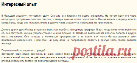 Интересный опыт