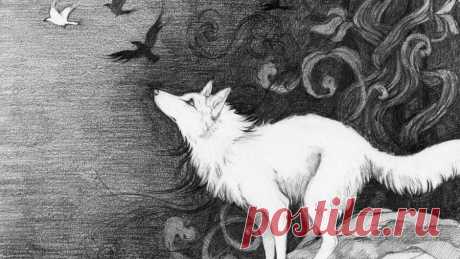 Download White Wolf Art Drawing Wallpaper | Wallpapers.com Download White Wolf Art Drawing wallpaper for your desktop, mobile phone and table. Multiple sizes available for all screen sizes. 100% Free and No Sign-Up Required.