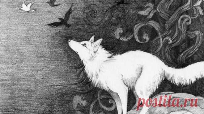 Download White Wolf Art Drawing Wallpaper | Wallpapers.com Download White Wolf Art Drawing wallpaper for your desktop, mobile phone and table. Multiple sizes available for all screen sizes. 100% Free and No Sign-Up Required.