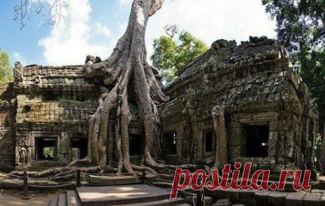 Симбиоз леса и творения человека: монастырский комплекс Та-Прохм в Камбодже