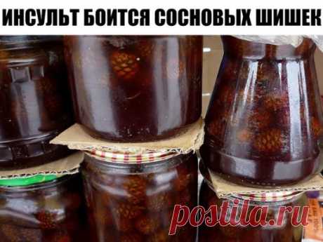 ИНСУЛЬТ БОИТСЯ СОСНОВЫХ ШИШЕК
Спиртовая настойка зрелых сосновых шишек с яблочным уксусом.
 5 зрелых сосновых шишек залить 0,25 литра спирта (70%) или хорошей водкой. Настоять при комнатной температуре 10 дней. Затем процедить и добавить 1 чайную ложку домашнего яблочного уксуса (можно заменить виноградным). Ежедневно на ночь пить 1 стакан некрепкого чая, в который добавлена 1 чайная ложка этой настойки. Желательно с медом. 
Применяется в народной медицине для лечения посл...