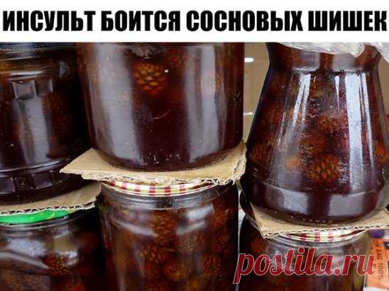 ИНСУЛЬТ БОИТСЯ СОСНОВЫХ ШИШЕК
Спиртовая настойка зрелых сосновых шишек с яблочным уксусом.
 5 зрелых сосновых шишек залить 0,25 литра спирта (70%) или хорошей водкой. Настоять при комнатной температуре 10 дней. Затем процедить и добавить 1 чайную ложку домашнего яблочного уксуса (можно заменить виноградным). Ежедневно на ночь пить 1 стакан некрепкого чая, в который добавлена 1 чайная ложка этой настойки. Желательно с медом. 
Применяется в народной медицине для лечения посл...
