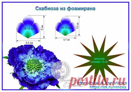 скабиоза