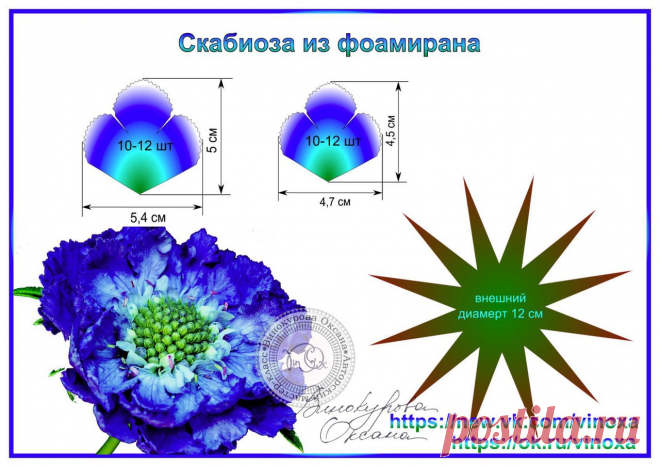скабиоза