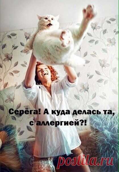 (52) Pinterest