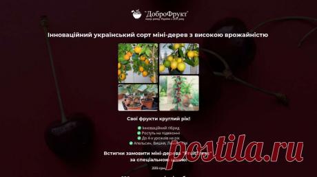 Міні Дерева з Високою Врожайністю