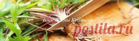 Блог Алёны Кравченко