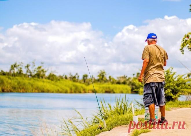 Черви в семечках – дедовская «меганаживка»! | Рыбалка для людей | Яндекс Дзен