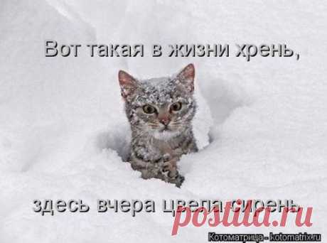 Неожиданность... .