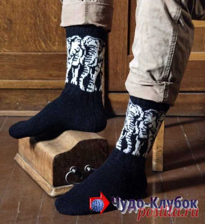 как связать мужские носки спицами со слонами