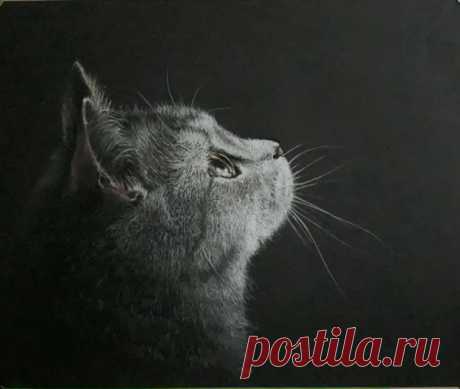 Живопись пастелью - рисунок мягким материалом | Facebook