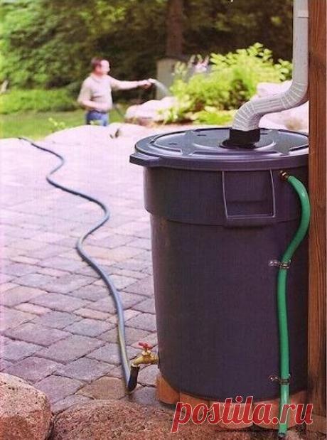 советы для дачи