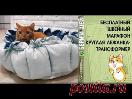 Марафон круглая лежанка  День 1