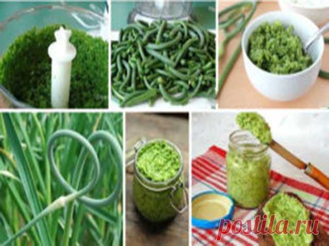 ЧЕСНОЧНЫЕ СТРЕЛКИ ВПРОК. Вкуснятина необыкновенная. - Вкуснотища необыкновенная!
