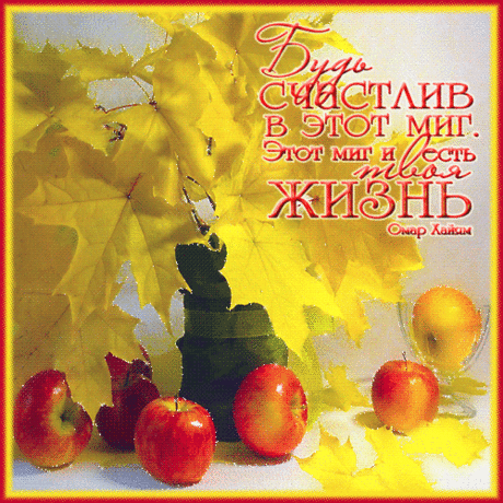 s-10085.gif (500×500)