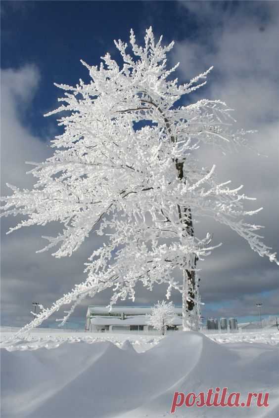 Super Hoarfrost on the mountain, accuweather.com
Guzide   |  Pinterest • Всемирный каталог идей