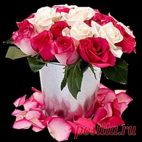 Цветы с кодами для комментариев.