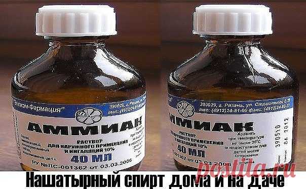 СПОСОБЫ ИСПОЛЬЗОВАНИЯ НАШАТЫРЯ