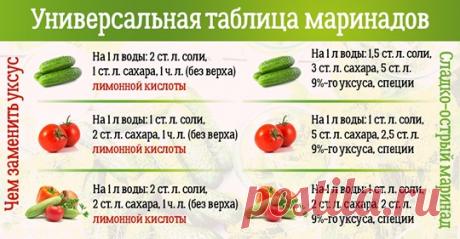 Team of Zina Portnova on Twitter: &quot;Актуально👍 https://t.co/2m0xbO2M0L&quot; / Twitter